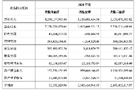 随州融资清欠服务